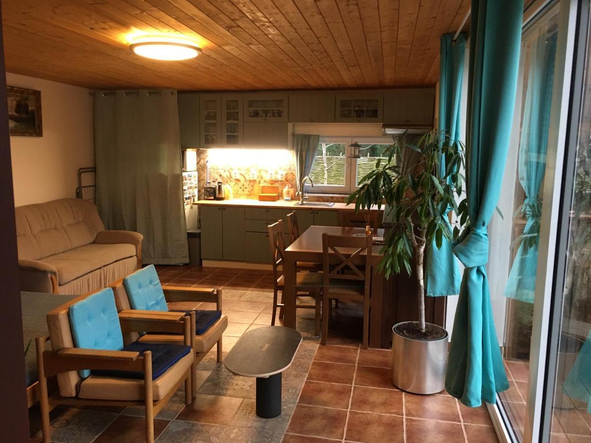 Na Vyhlidce Apartment Vrane nad Vltavou ภายนอก รูปภาพ