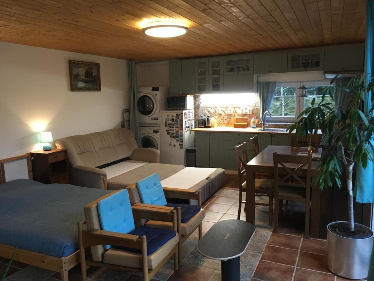 Na Vyhlidce Apartment Vrane nad Vltavou ภายนอก รูปภาพ